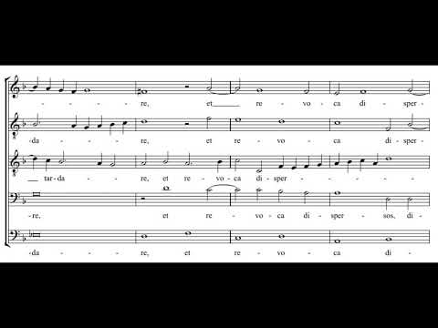 Byrd: Vide Domine afflictionem nostram - Cardinall's Musick