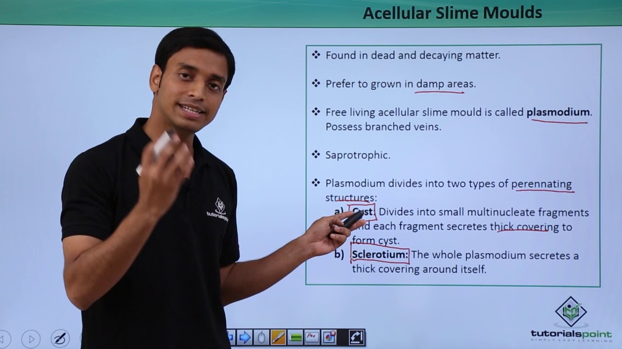 Class 11th – Slime Moulds – Acellular | Biological Classification | Tutorials Point