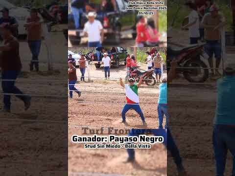 Hípico Bella Vista Norte - PAYASI NEGRO - GANADOR - 05/10/25