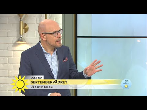 Peter Kondrup: "Hösten breder ut sig" - Nyhetsmorgon (TV4)