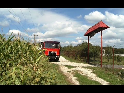 Politist agresat la Slimnic de doi barbati | novatv.ro