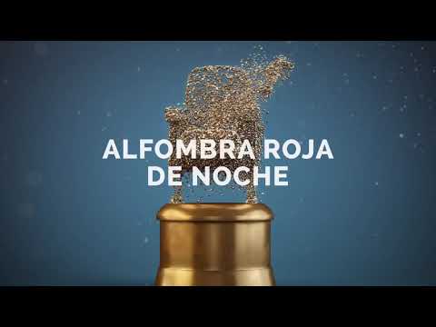 Festival Internacional de Cine de Mar del Plata 2022