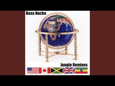 Needle On The Record