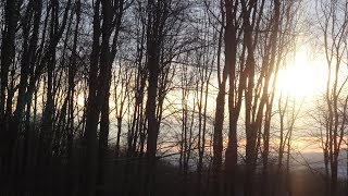 Depressed but Optimistic – David Vitela [Lyrics Video]