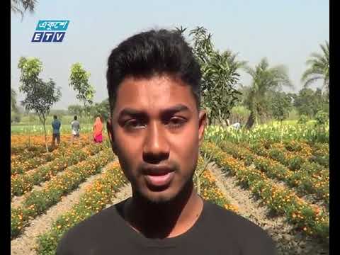 নাটোরে বেড়েছে ফুলের চাষ