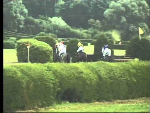 KO, 19. 7. 2015, 6. dostih - CENA SPOLEČNOSTI TEPOSTOP PŘELOUČ