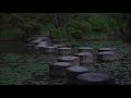 Lost in Translation | Recreating the Alone in Kyoto scene