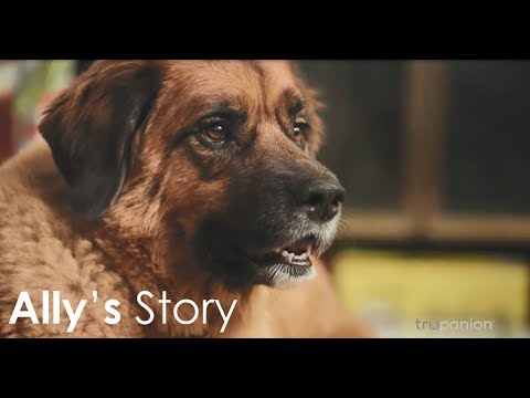 Trupanion video/presentation/materials