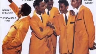 Pookie Hudson & The Spaniels - (I Love You) For Sentimental Reasons/ Meek Man - Neptune 124 - 1961
