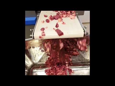 PACIFIC 550A Dicer video thumbnail