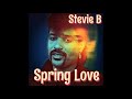 Stevie B - Spring Love (Remix)