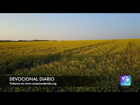 Devocional diario - 2020-11-05 - Siendo ejemplo en palabra y conducta. Primera parte