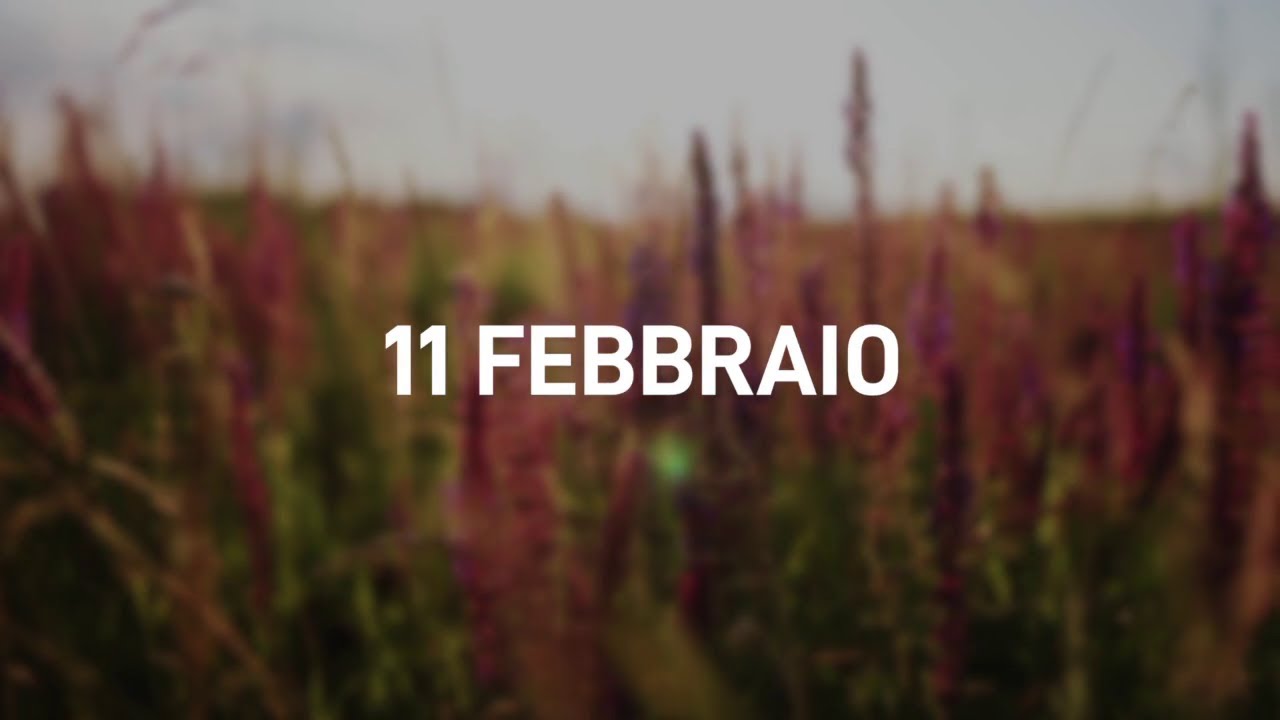 11 Febbraio 2025 | Meditazione Parole di Vita