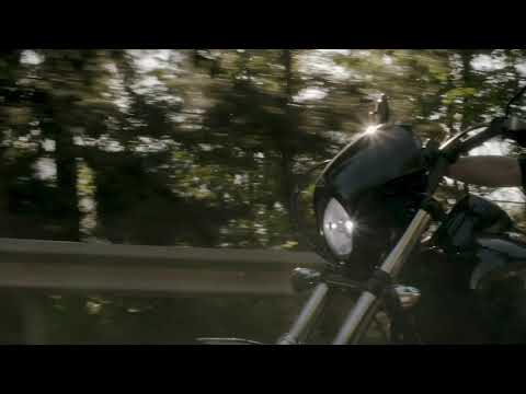 Harley-Davidson Freedom Machine