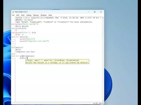 Python Shell Function Parameters