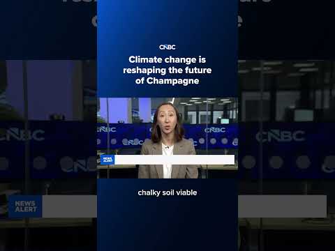 Climate change is reshaping the future of Champagne