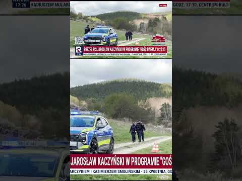 Tragiczny atak niedźwiedzia na Podkarpaciu – nie żyje 58-letnia kobieta.