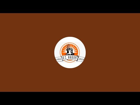 1^DIVISIONE US ARBOR INTERCLAYS - ASD JOVI VOLLEY