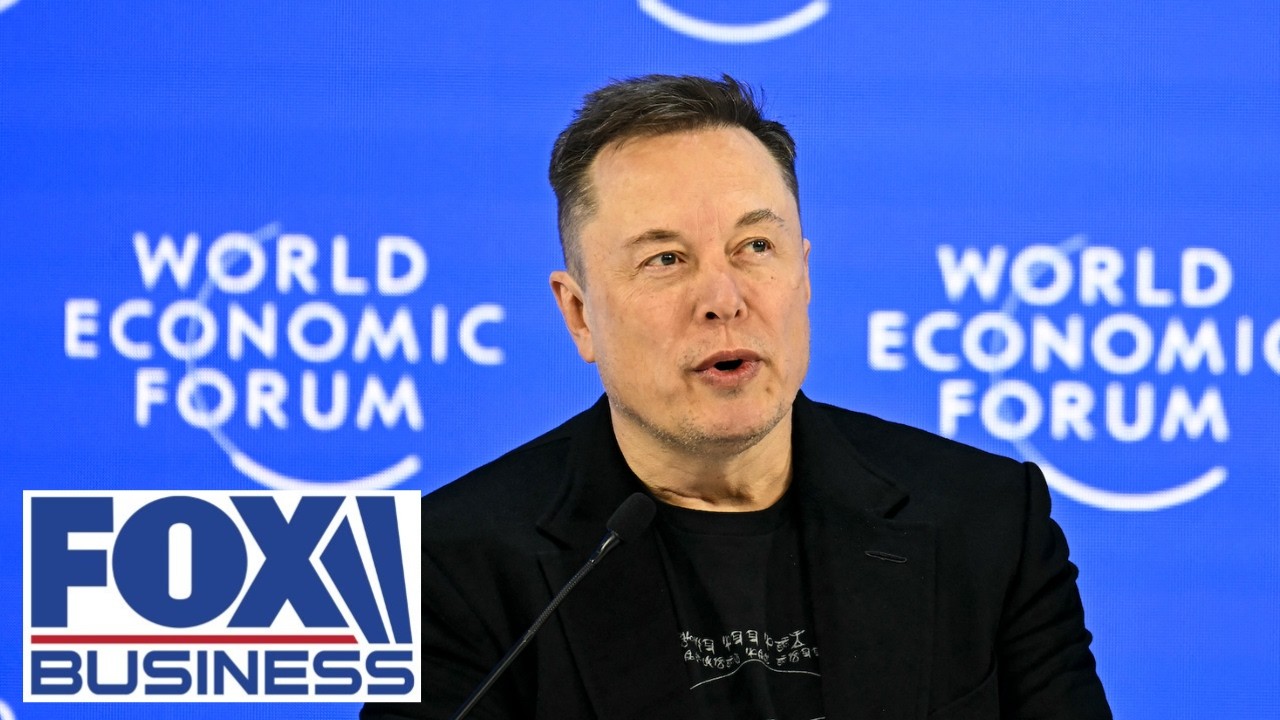 'Elon Musk driver’ still fueling investor demand despite Tesla volatility: Strategist