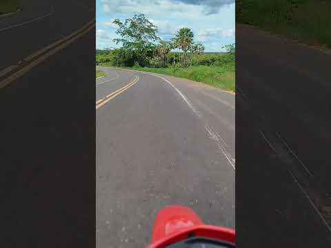 BR 135 bom Jesus Piauí