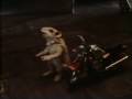 The Mouse and the Motorcycle - Excerpt