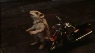 The Mouse and the Motorcycle - Excerpt