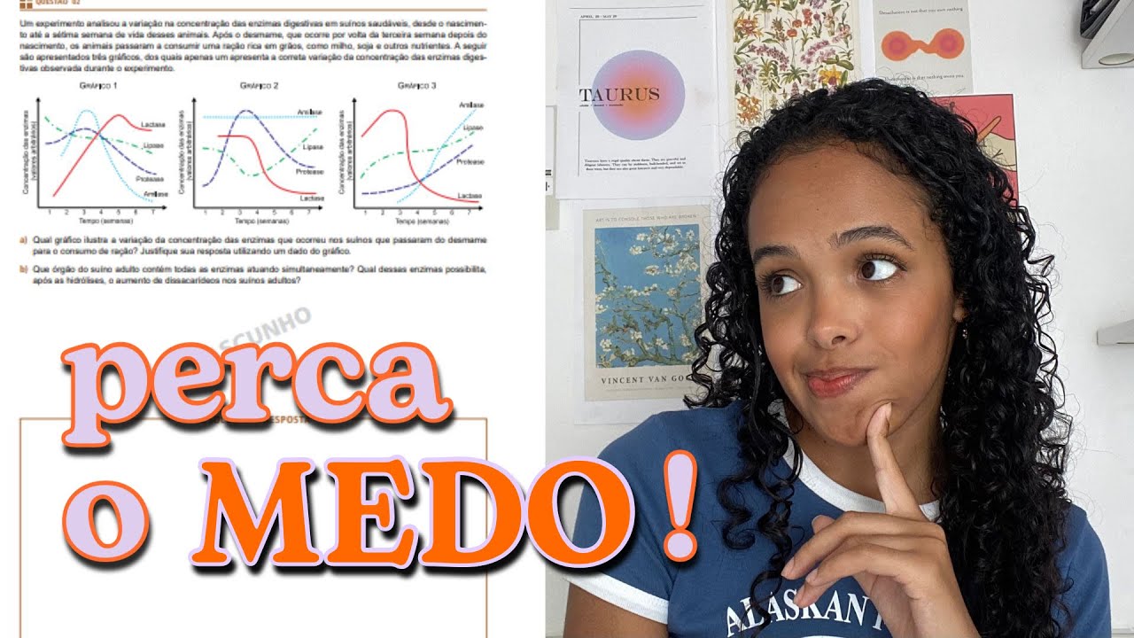 questões dissertativas: superando o medo de enfrentá-las