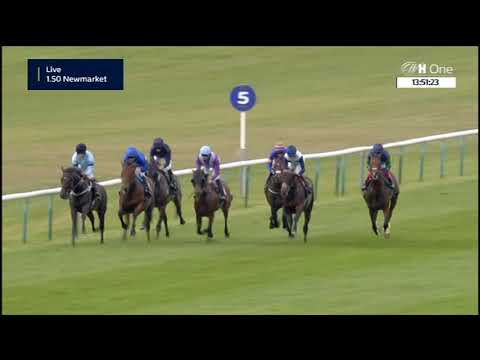 Royal Lodge Stakes - Gruppe 2