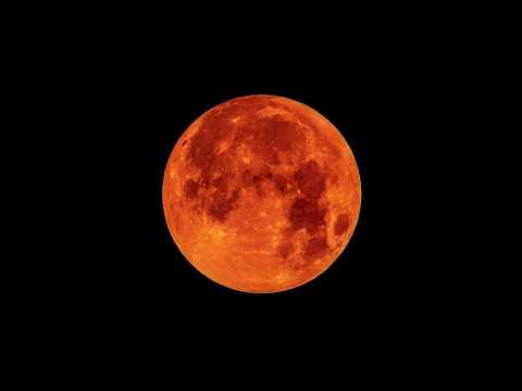 fogyjon a felkarról
