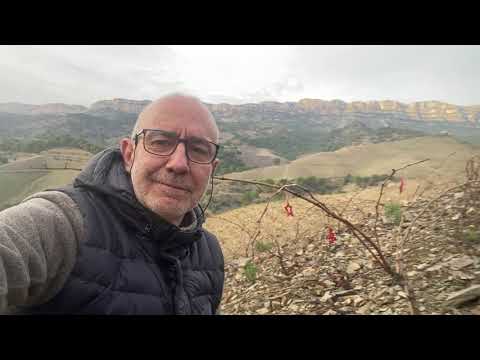 Merry Christmas and happy New Year - Mas Doix