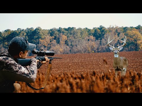 Hunting Deer in the Fields | Hunting and Cooking