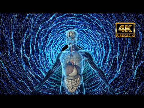758 Hz Angel Number Healing Music | Receive Divine Blessings, Love & Protection | Angelic Frequency