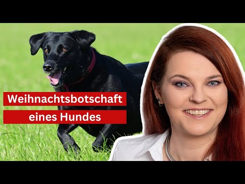 The healing knowledge of animals - touching and surprising