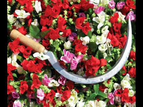 download lagu mp3 mp4 Misplaced Hearts, download mp3 Misplaced Hearts free download mp3, download mp3 Misplaced Hearts