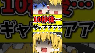 10秒後に霊夢が猫に食べられてしまう！そしてどうなる！？ #shorts #ゆっくり茶番劇 #博麗霊夢
