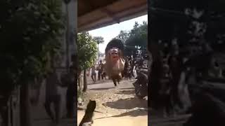 Download lagu video reog lucu bikin ngakak #shorts #viral mp3