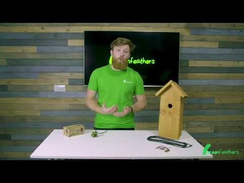 Explanation of how to set up the Wifi bird box camera