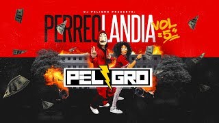 Dj Peligro - Perreolandia, Vol. 5 video