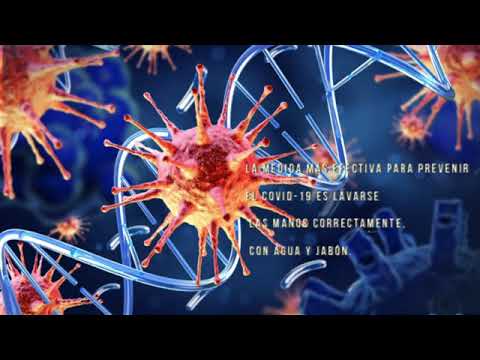 QUE ES CORONAVIRUS COVID-19