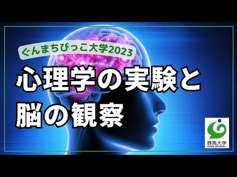 11 心理学の実験と脳の観察