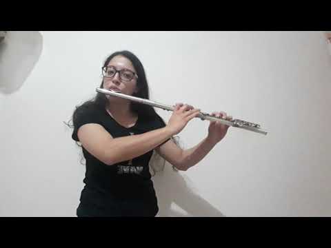 68- Gozo de ter salvação, harpa cristã cover flute