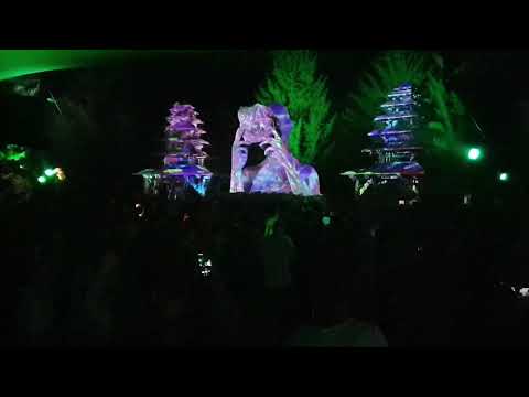 Melt Live at Modem Festival Swamp Stage 2019