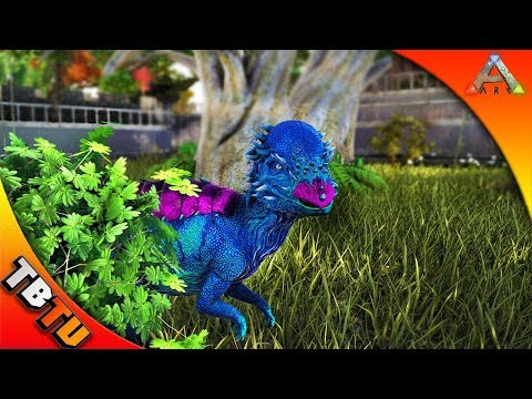 ARK PACHY BREEDING COMPETITION! FULLY MUTATED PACHY AND ZOO ENCLOSURE! Ark Survival Evolved Zoo