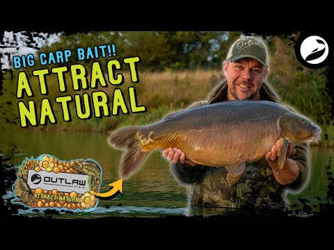 💪🏻 CATCH MORE CARP with the EXCLUSIVE Attract Natural Range