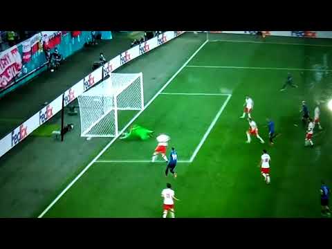 Szczęsny own goal, Poland vs Slovakia|Robert Mak