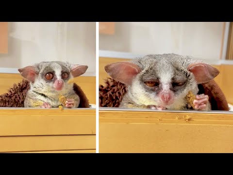 #69 Die besten Videos 2025 || ✪ Stern DuTube