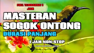 Download lagu MASTERAN SOGOK ONTONG GACOR JERNIH DURASI PANJANG 1 JAM mp3