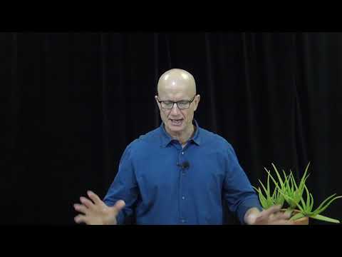 Al Stewart - Daniel 1 Sermon