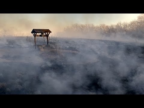 Wochenorakel vom 11.22. - 17.02.2019