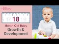 18 Months Old Baby's Growth and Development (Plus Activities & Care Tips)
